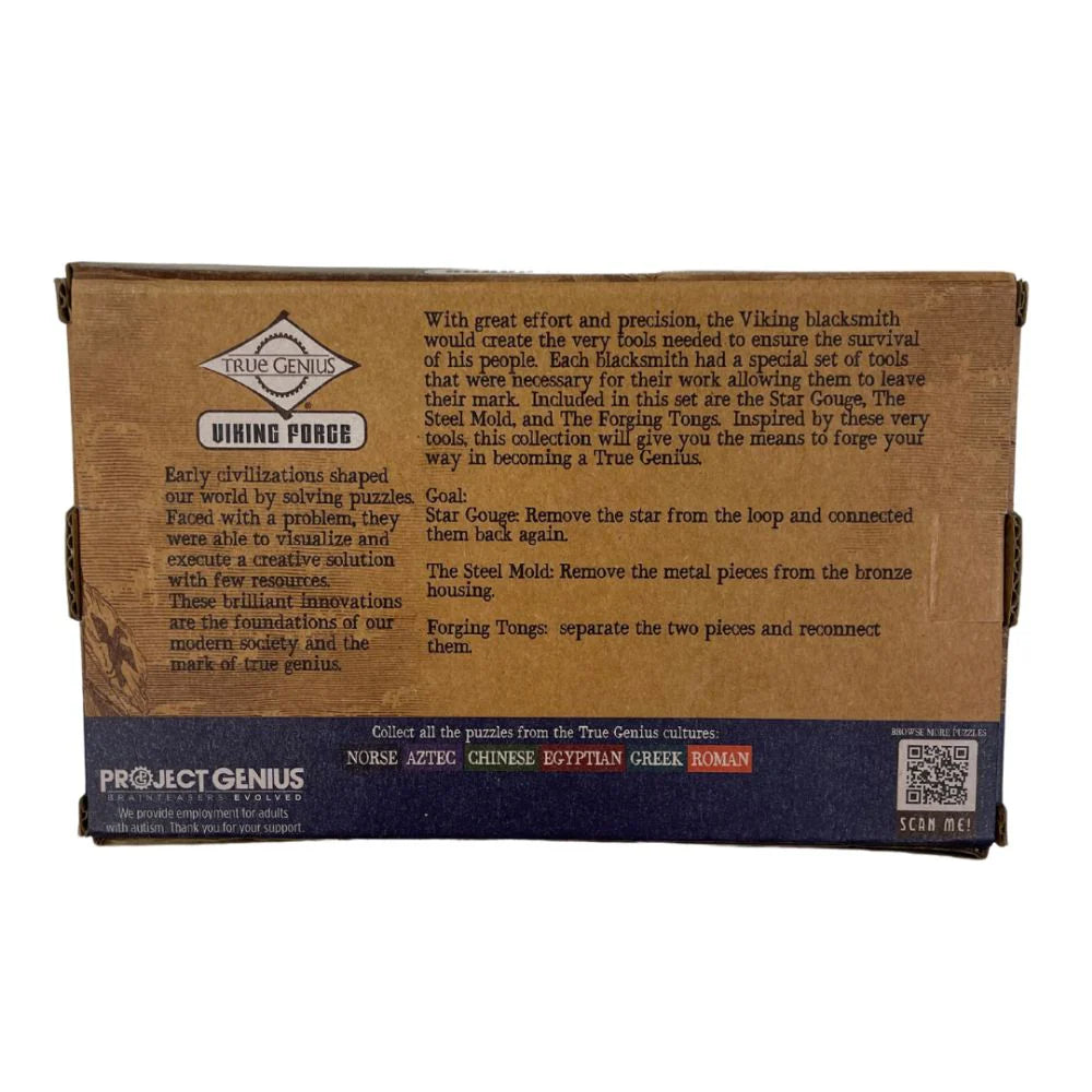 Project Genius - Viking Forge