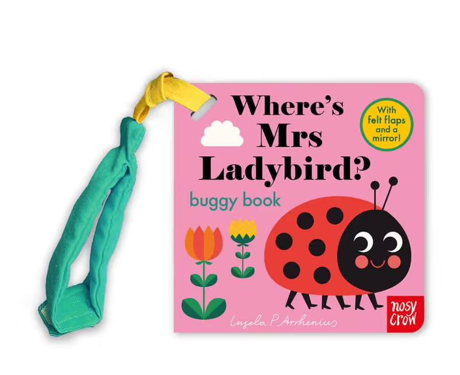 Where's Mr LadyBird - Buggy Book