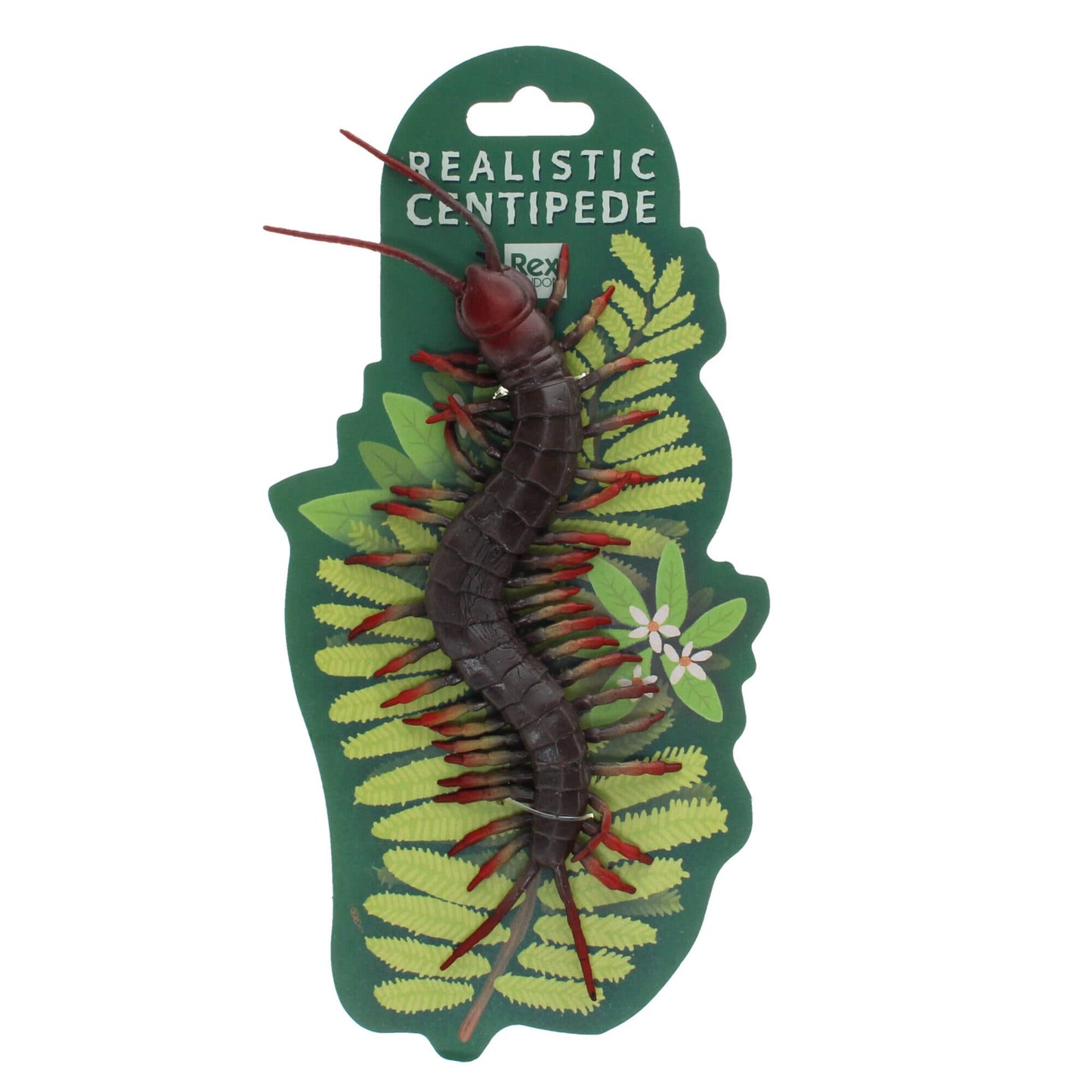 Centipede