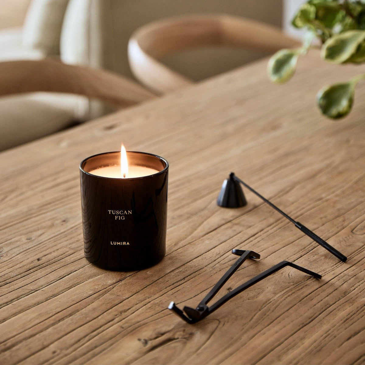 LUMIRA - Tuscan Fig Candle