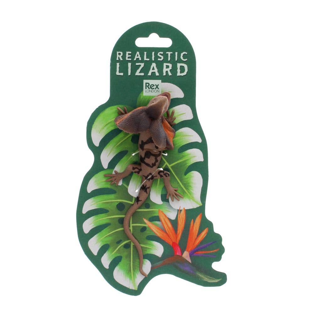 Frill Neck Lizard
