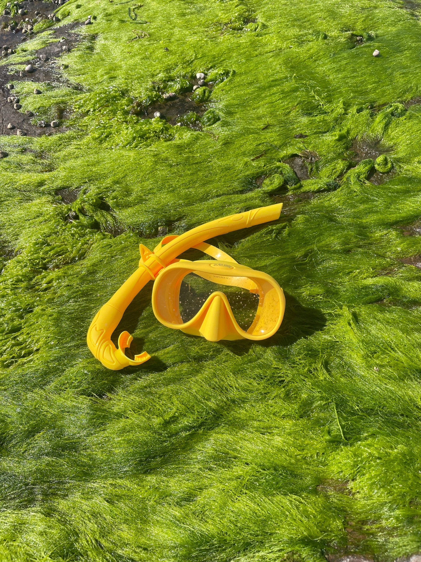 Sublime Classic Snorkel Set - Yellow