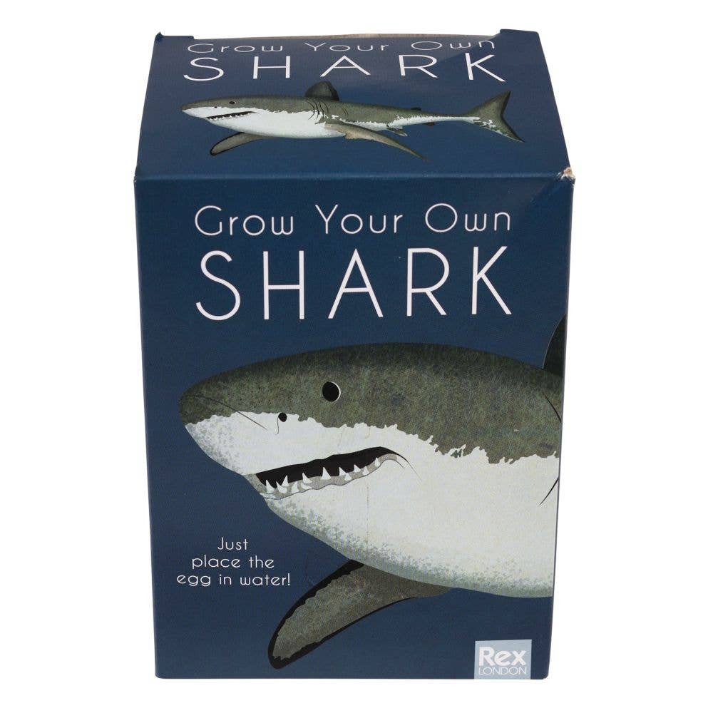 Giant Hatching Shark Egg