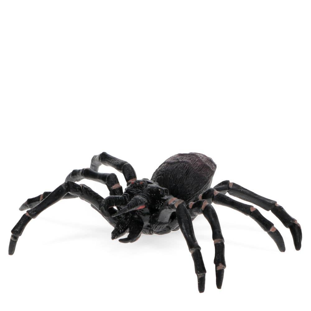 Tarantula