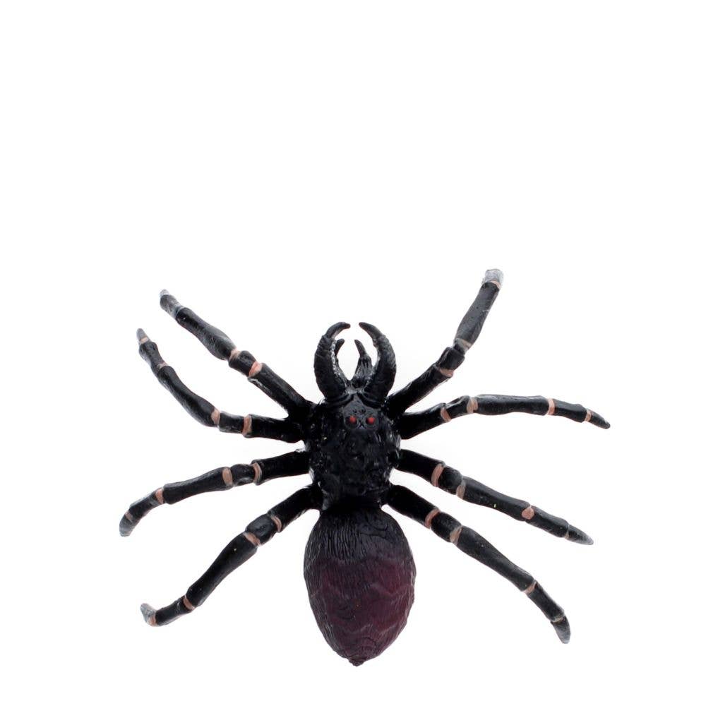 Tarantula