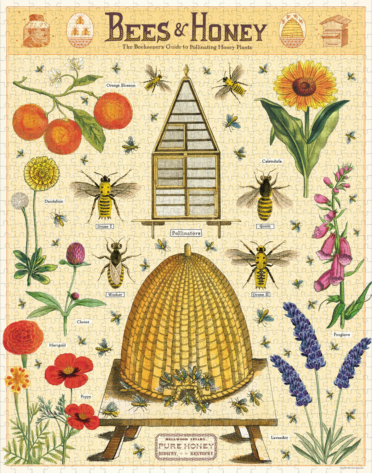 Bees & Honey - 1000 Pc Puzzle