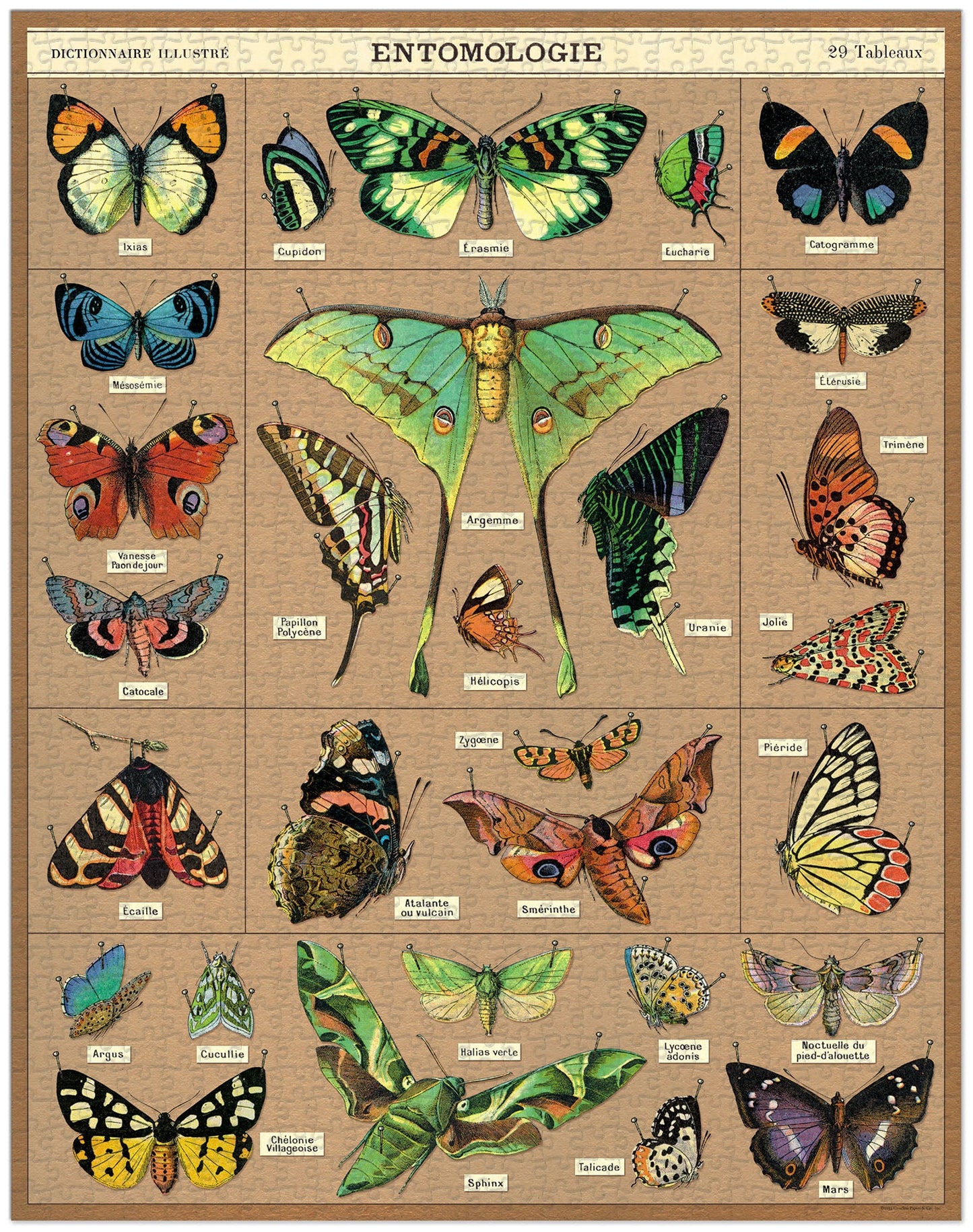 Entomology - 1000 Pc Puzzle