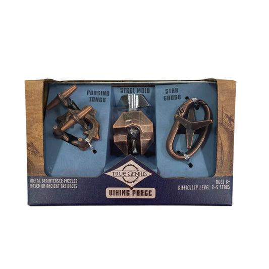 Project Genius - Viking Forge