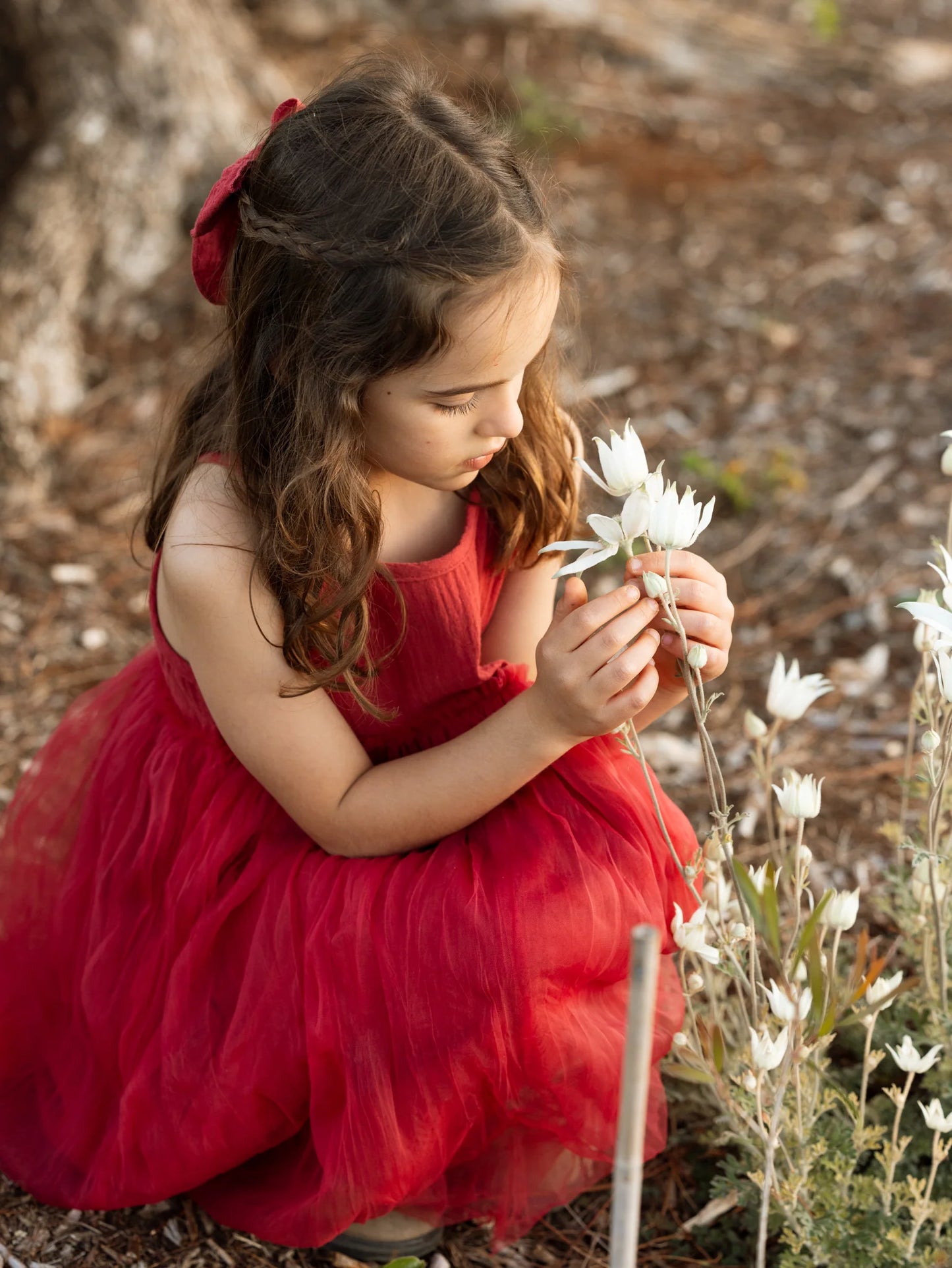 Limited Edition Tutu - Christmas Red