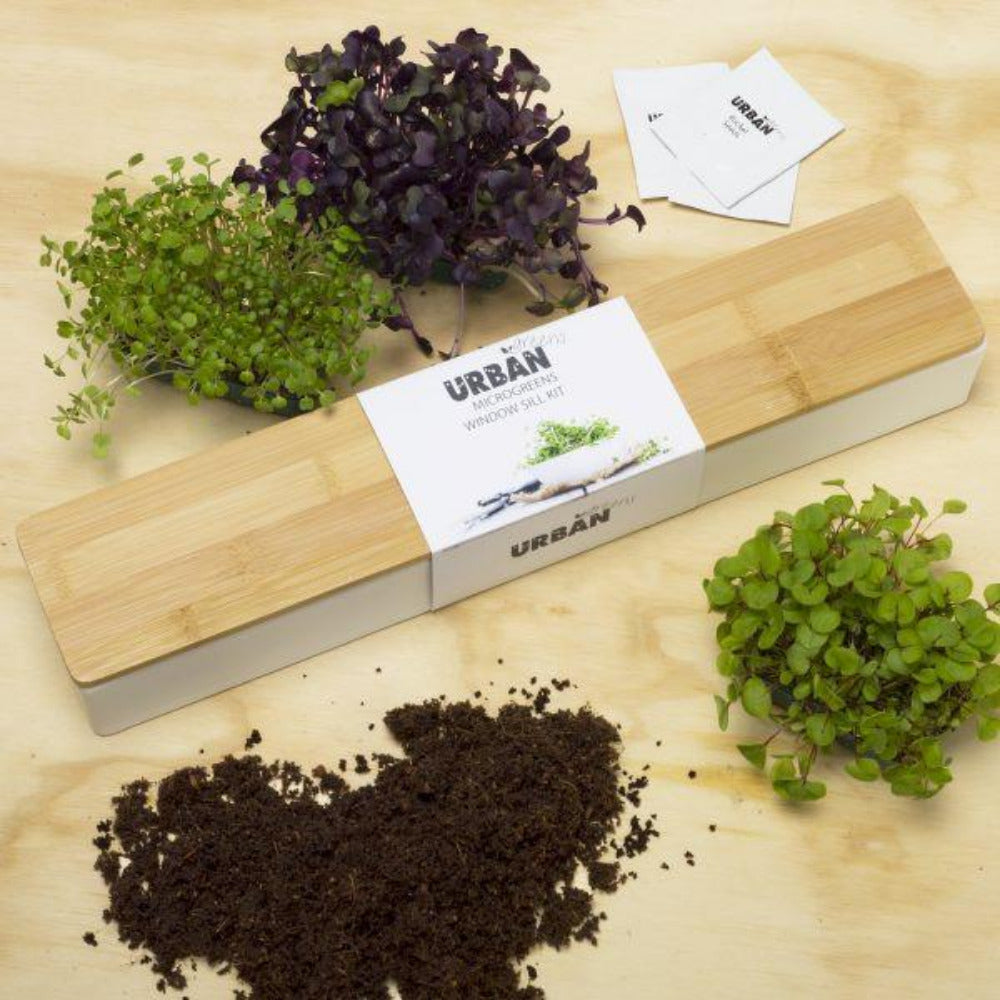 Micro Greens Windowsill Box - Oxley and Moss