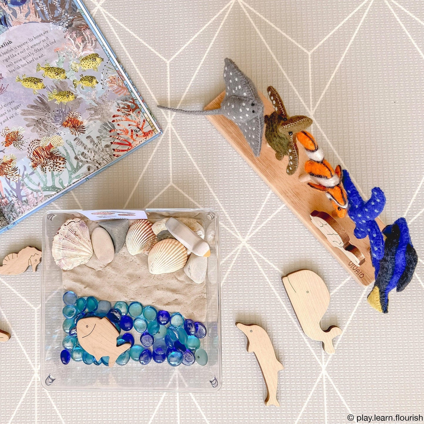 AUSTRALIAN CORAL REEF UNDER THE SEA - FINGER PUPPET SET