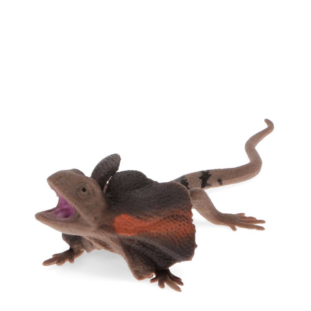 Frill Neck Lizard
