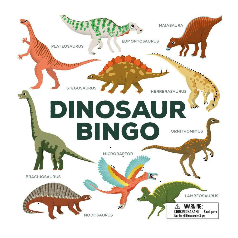 Dinosaur Bingo Game